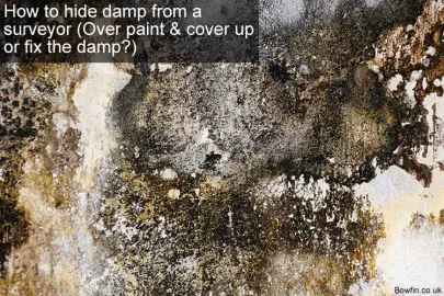 How To Hide Damp From A Surveyor (Over Paint & Cover Up Or Fix The Damp?)