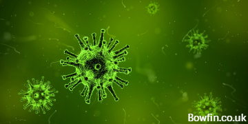 How Is The Property Market Going To Be Affected By Coronavirus Or Covid-19?