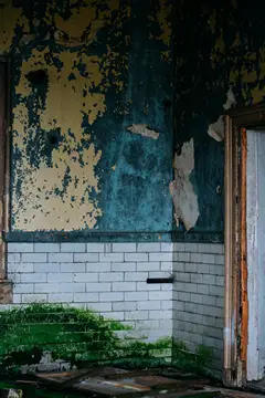 Should I Buy A House That Has Damp? (Renegotiate Or Walk Away?)