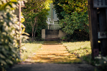 Are North Facing Gardens Really That Bad? (North Facing Pros and Cons)