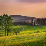 How Much Is An Acre Of Land Worth (Plus What Will It Cost?) How Much Is An Acre Of Land Worth - Plus What Will It Cost small