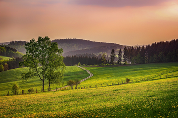 How Much Is An Acre Of Land Worth (Plus What Will It Cost?)