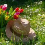 Should You Buy A House With A West Facing Garden small