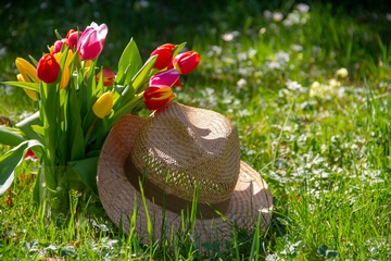 Should You Buy A House With A West Facing Garden? (Is West The Best?)