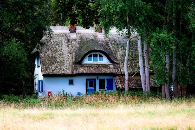 What are the cons of a thatched roof property