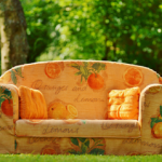 Best Direction For House To Face For Sunlight: UK & USA Sofa in the sunlight - Best Direction For House To Face For Sunlight small