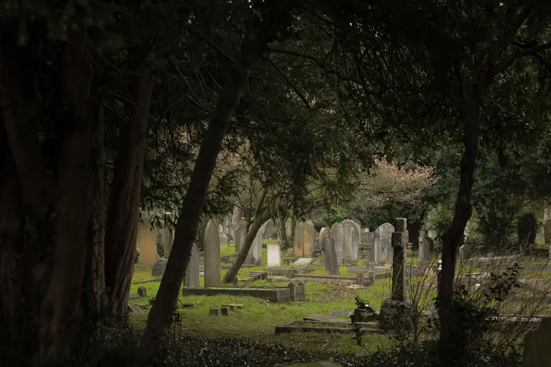 Secluded graveyard - What to do before buying a house near a cemetery