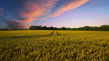 Pitfalls Of Buying Rural Land: Buying From A Farmer