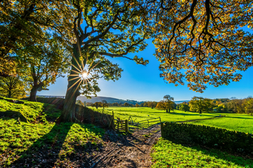 Why Is It Better To Live On A Farm Than The City?