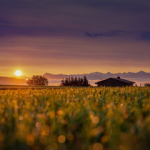 House and sunset - Is It Better To Have Your House Face East Or West small