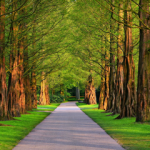 What Are The Pros And Cons Of Living Next To A Park? Path in park - Pros and cons of living next to a park small