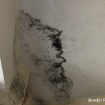 Found Damp In House After Purchase: Can You Sue The Seller? Penetrating damp - Found Damp In House After Purchase small