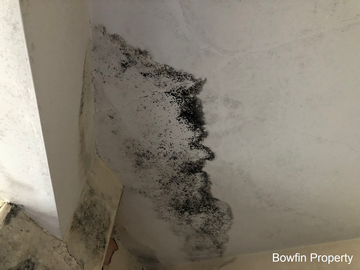 Found Damp In House After Purchase: Can You Sue The Seller?
