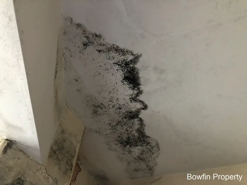 Penetrating damp - Found Damp In House After Purchase