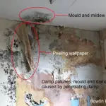 Penetrating damp wall and ceiling problems - How Do You Find Damp When Viewing A House small