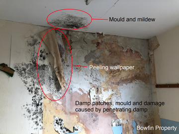 How Do You Find Damp When Viewing A House